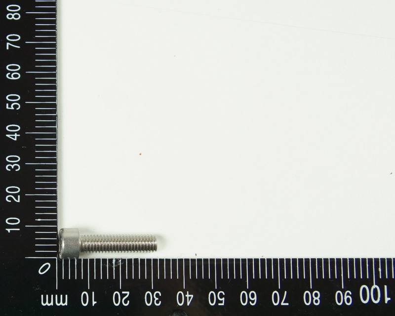 Ringschraube mit Ring, metrisches Gewinde, M6x85mm, V4A